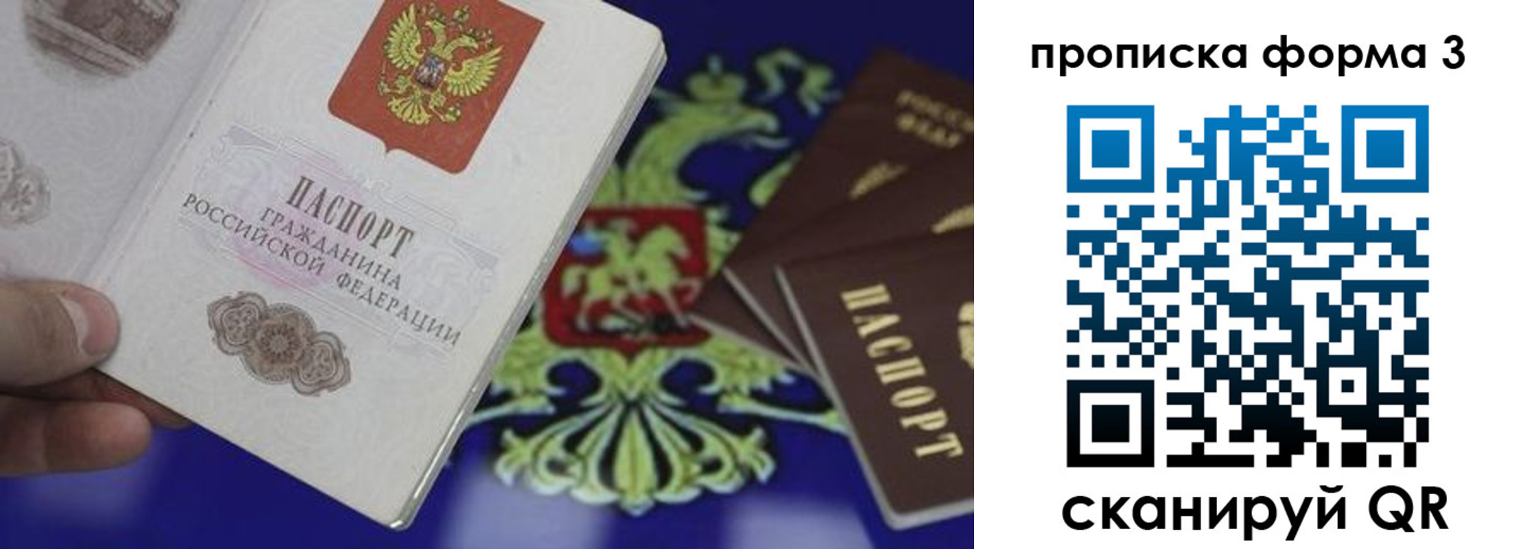 прописка штамп в Новомосковске
